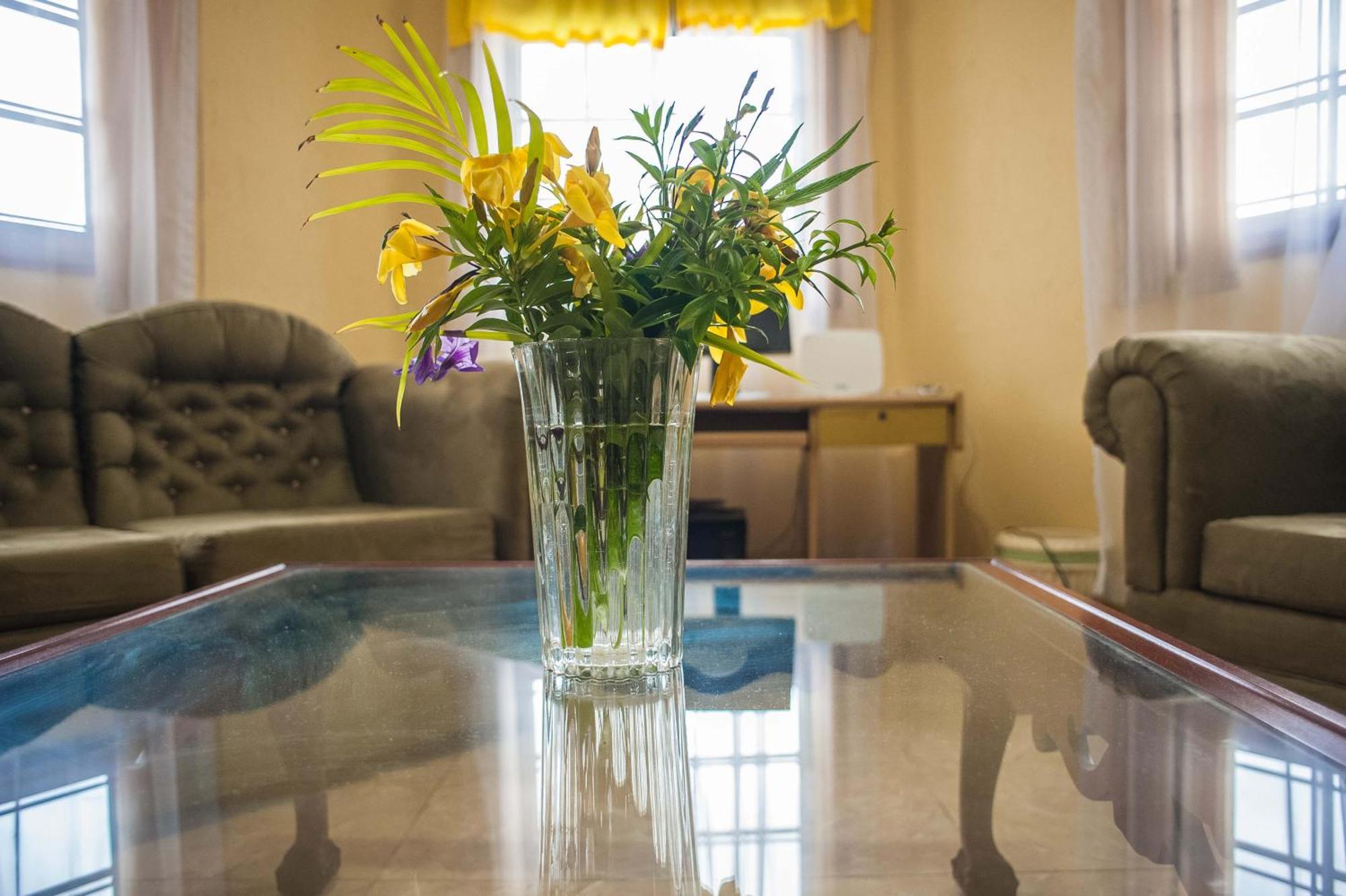 Clarridge View Guesthouse Montego Bay Dış mekan fotoğraf